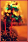 christmas... christmas...
