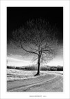 solitario sulla curva solitario sulla curva