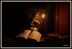 ... un buon libro ... un buon libro