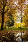 Autumn taste Autumn taste