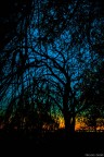 Energy of Nature Energy of Nature