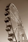 paris roue
