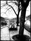 MATTINA PRESTO MATTINA PRESTO
