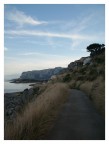 Il Viale - Riserva naturale di Capogallo (Pa) Il Viale - Riserva naturale di Capogallo (Pa)