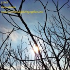 5.365 - IPHONOGRAPHY PROJECT