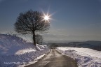 Langa Cebana, scorcio invernale Langa Cebana, scorcio invernale