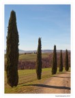 Toscana: gennaio