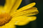 DOF < 2 mm DOF < 2 mm