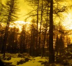 Stufo di vedere le classiche foto di montagna... perch� non cambiare il punto di vista e l'effetto ottico usando una mascherina da sci???

f/6.7 1/60 ISO 200

Commenti e critiche molto ben accette (vedo anche io che la foto non � un granch�... quello che sottopongo alle critiche oltre alla foto � l'idea)