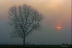 Un timido sole Un timido sole