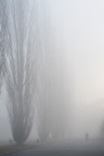 il ciclista il ciclista