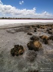 Pink Lake 2 Pink Lake 2