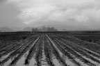 paesaggio lungo la E45 paesaggio lungo la E45
