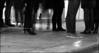 Gambe...in tempo di shopping Gambe...in tempo di shopping