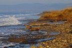 la spiaggia non c'è più la spiaggia non c'è più