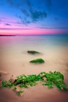 SEASCAPE SEASCAPE