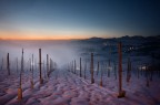 La nebbia agli irti colli La nebbia agli irti colli