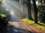 Il sole del mattino Il sole del mattino