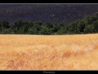 Provenza # 27