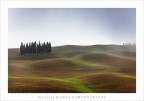 ..i soliti cipressi..... ..i soliti cipressi.....