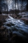 Il bosco delle streghe Il bosco delle streghe