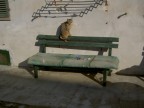 La noia in Cascina La noia in Cascina