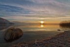 Alba Alba