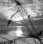 Hasselblad 500 c/m
Distagon 50
Kodak Tmax 100
HC110-6 min