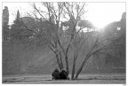un caldo inverno... un caldo inverno...
