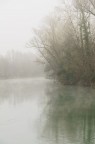 Silenzio Silenzio