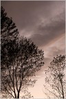Un cielo...un tormento. Un cielo...un tormento.