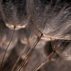 aspettando il vento....