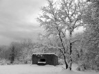Tutto innevato.. Tutto innevato..