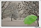 neve 4 neve 4
