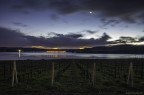 La vigna sul lago