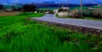 Toscana ,bordo strada. Toscana ,bordo strada.