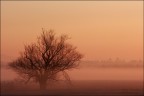 E' Mattino E' Mattino