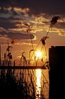 tramonto tramonto