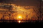 tramonto tramonto