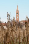 La Torre dal canneto La Torre dal canneto