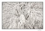 di bianco vestito di bianco vestito