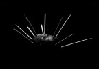 arrows in my appleheart arrows in my appleheart