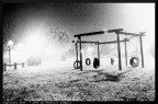 Nebbia nel parco Nebbia nel parco