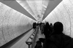 The tube The tube