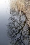 Riflessi... Riflessi...