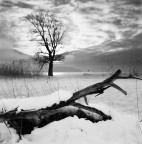 Hasselblad 500 c/m
Distagon 50
Kodak Tmax100.
HC110