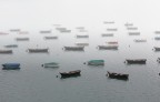 Nella Foschia Nella Foschia