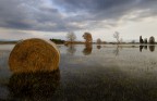 Campagne... Campagne...