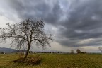 Campagne