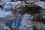 rifiuti solidi...inurbani rifiuti solidi...inurbani